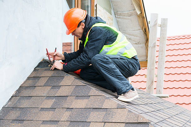 Best Roof Gutter Cleaning  in Boaz, WV